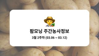 감자 농사도우미님의 감자 · 농사길잡이 작성글 사진