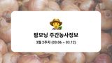 팜모닝 양파·농사길잡이 게시글 이미지