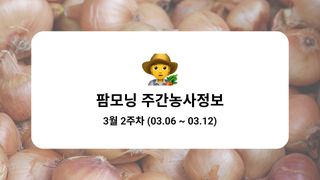 양파 농사도우미님의 양파 · 농사길잡이 작성글 사진