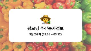 고추 농사도우미님의 고추 · 파종•정식 작성글 사진