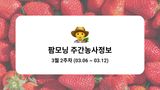 팜모닝 딸기·자연재해•동물피해 게시글 이미지