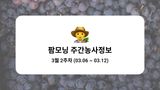 팜모닝 포도·농사길잡이 게시글 이미지
