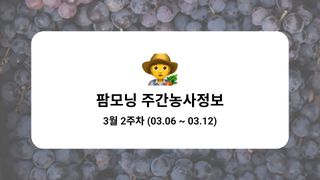 포도 농사도우미님의 포도·농사길잡이 작성글 사진