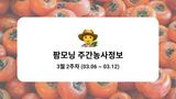 팜모닝 감·농사길잡이 게시글 이미지
