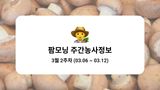 팜모닝 버섯·파종작업 게시글 이미지