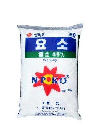 한농농약종묘사님의 양파 · 자유게시판 작성글 사진