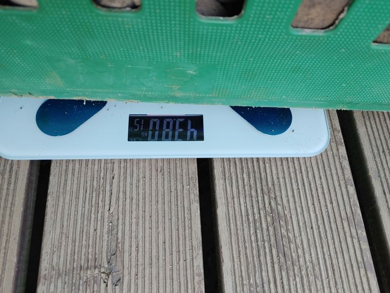 최용운님의 장터 판매 상품 [국가보급종 씨감자  수미] 첨부 사진