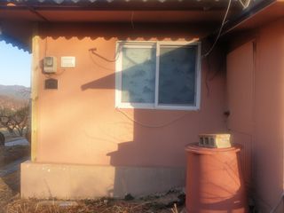 허굴산농장님의 기타작물 · 자유게시판 작성글 사진