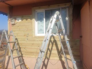 허굴산농장님의 기타작물 · 자유게시판 작성글 사진