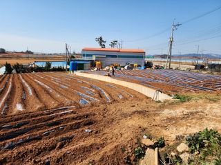 박효식님의 감자 · 자유게시판 작성글 사진