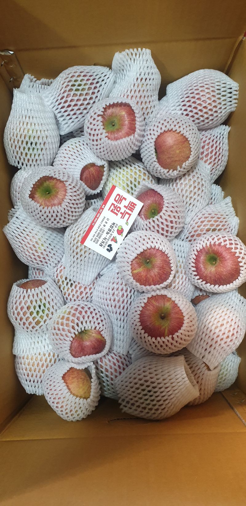 백두농원님의 장터 판매 상품 [봉화사과 10키로 미얀마부사 팝니다 ] 첨부 사진