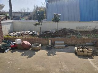 이현상님의 기타작물 · 자유게시판 작성글 사진