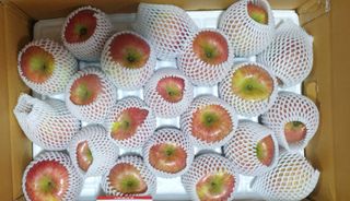 호랑이와인성이님의 사과 · 저장•가공 작성글 사진