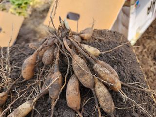 이창신님의 작성글 사진