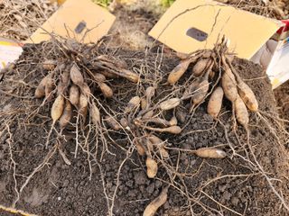 이창신님의 작성글 사진