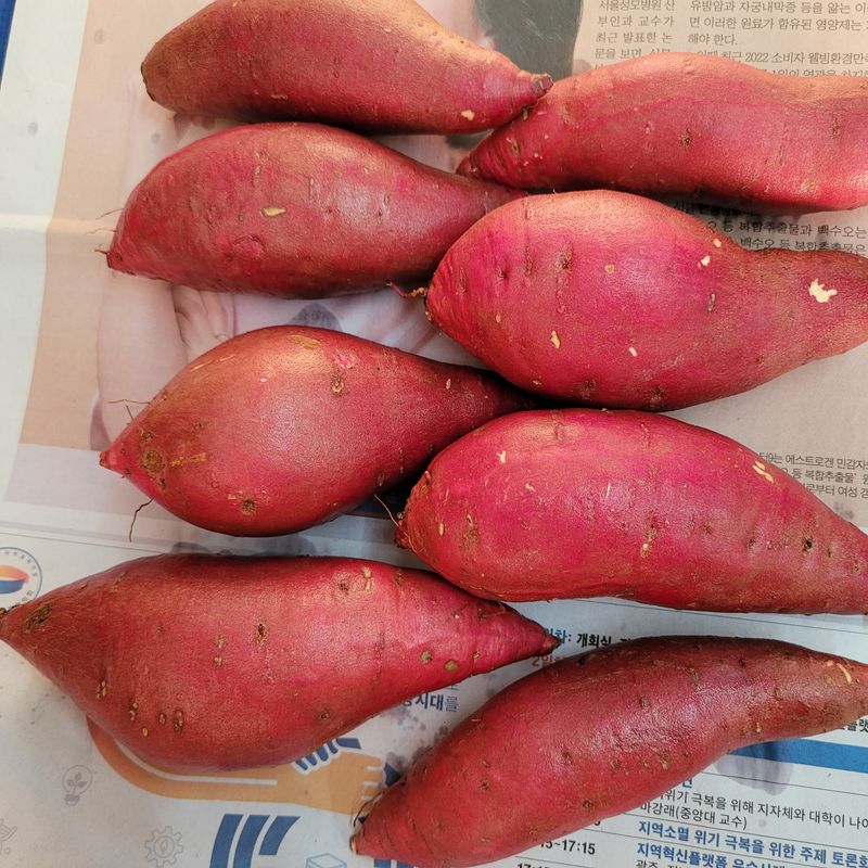 윤희순님의 장터 판매 상품 [여주 꿀고구마10키로] 첨부 사진