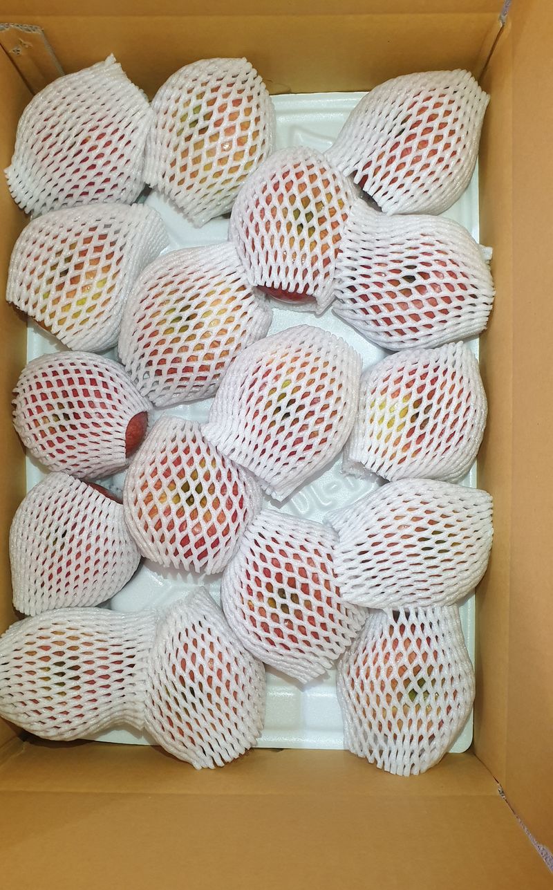 호랑이와인성이님의 장터 판매 상품 [창고대방출 미안마부사 10kg-40~46사이] 첨부 사진