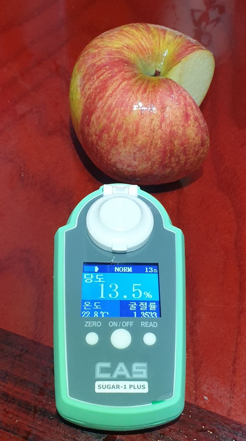 호랑이와인성이님의 장터 판매 상품 [창고대방출 미안마부사 10kg-40~46사이] 첨부 사진