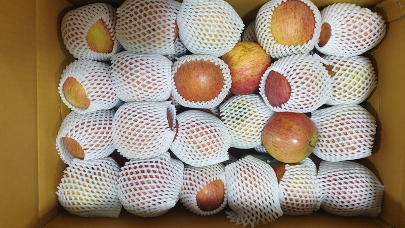 호랑이와인성이님의 장터 판매 상품 [창고대방출 미안마부사 10kg-40~46사이] 첨부 사진