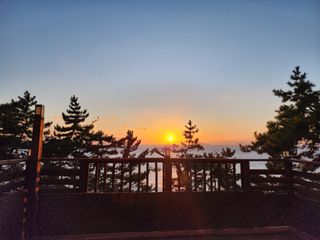 이화농원님의 감 · 자유게시판 작성글 사진