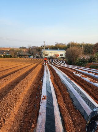 박효식님의 감자 · 자유게시판 작성글 사진