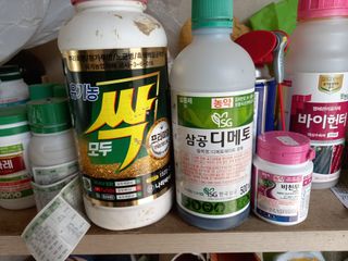 정도석 님의 마늘 · 비료•농약 작성글 사진