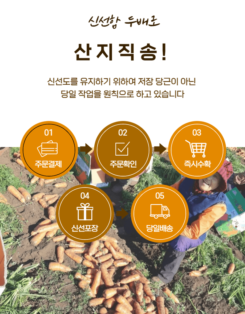 김태환님의 장터 판매 상품 [제주 구좌당근 마감..다들 감사합니다.] 첨부 사진