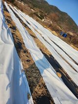 팜모닝 기타작물·자유게시판 게시글 이미지