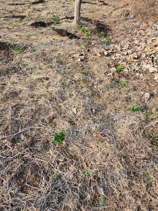 정완희 님의 기타작물 · 자유게시판 작성글 사진