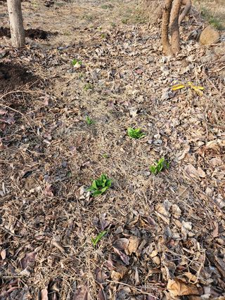 정완희 님의 기타작물 · 자유게시판 작성글 사진