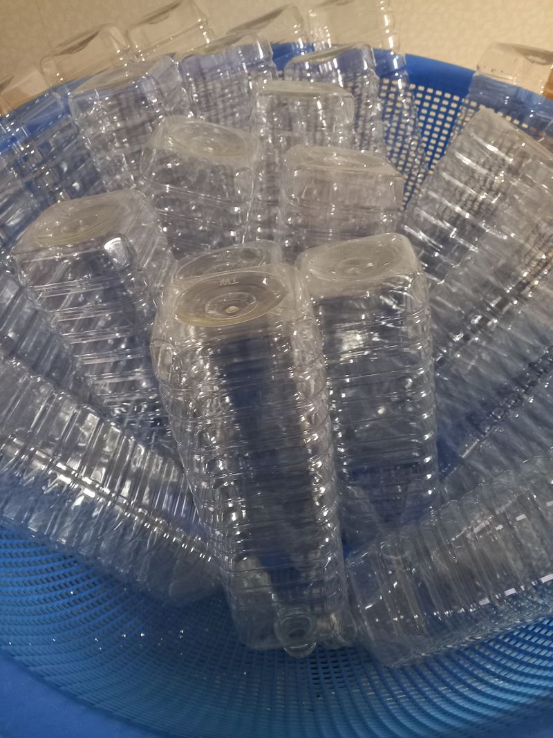 장터 상품 [강원도 평창가리왕산 고로쇠수액 (판매완료)] 썸네일