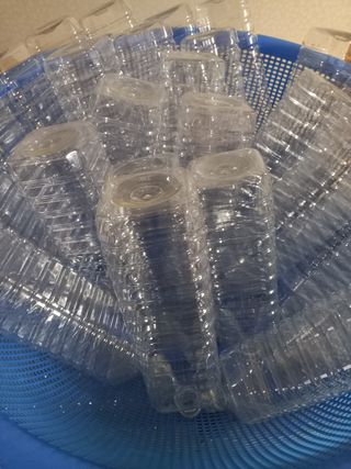 둥이 맘님의 작성글 사진