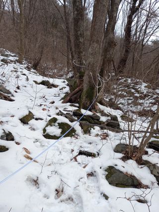 둥이 맘님의 작성글 사진