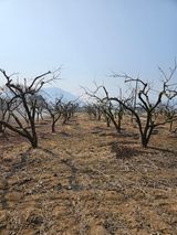 팜모닝 감·자유게시판 게시글 이미지