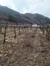 팜모닝 기타작물·자유게시판 게시글 이미지