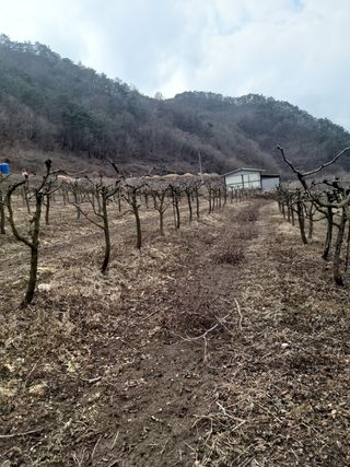 유석범님의 기타작물 · 자유게시판 작성글 사진