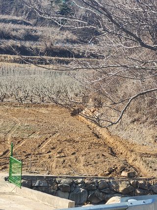최군환님의 기타작물 · 자유게시판 작성글 사진