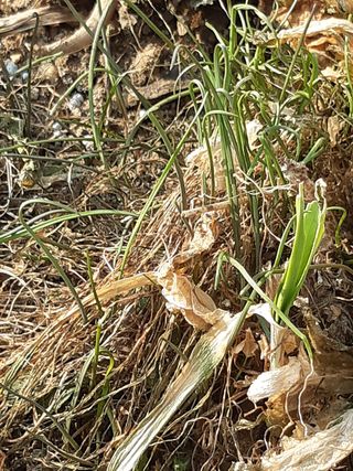 새리님의 기타작물 · 자유게시판 작성글 사진