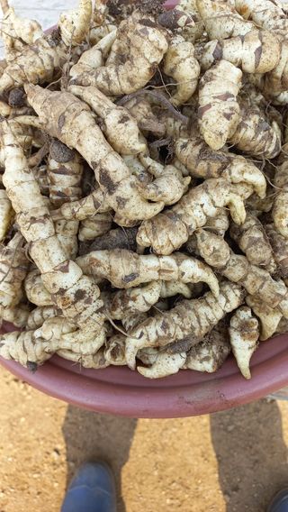 박한철님의 기타작물 · 자유게시판 작성글 사진