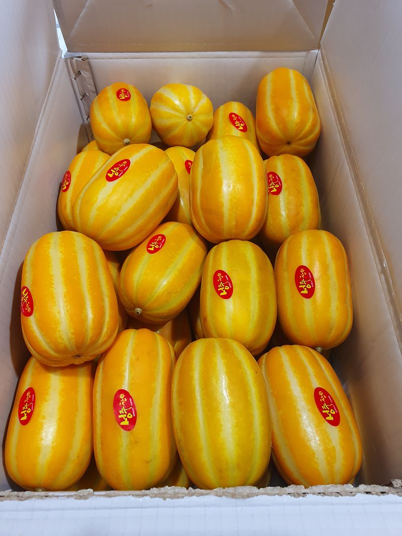 장터 상품 [성주참외 19900원부터 있어요] 썸네일