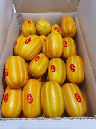 써니네님의 작성글 사진