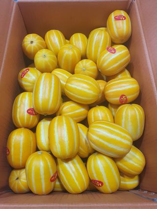 써니네님의 작성글 사진