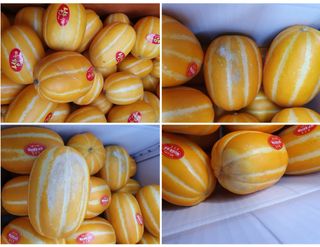 써니네님의 작성글 사진