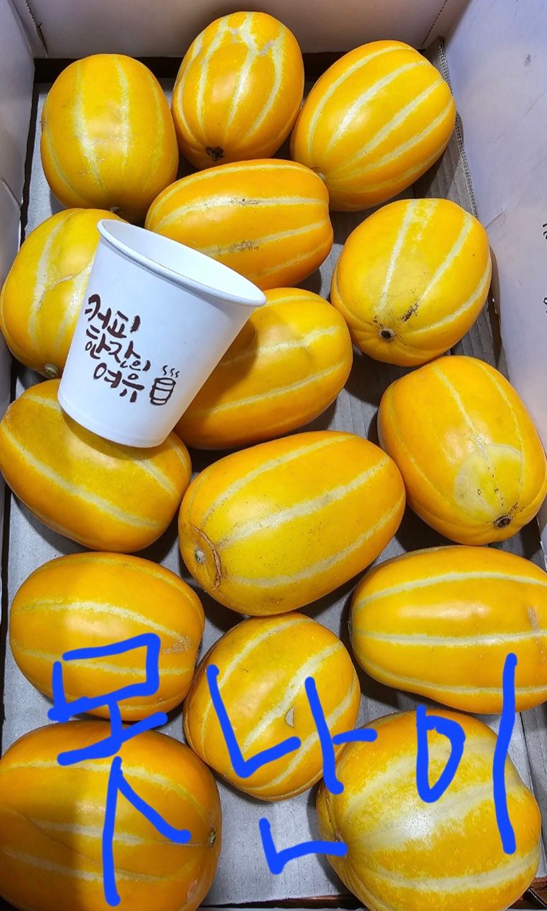 써니네님의 장터 판매 상품 [성주참외 19900원부터 있어요] 첨부 사진
