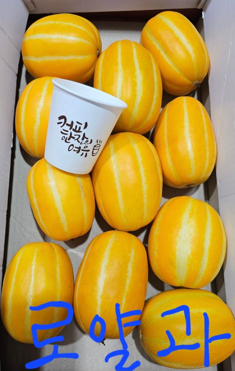 써니네님의 장터 판매 상품 [성주참외 19900원부터 있어요] 첨부 사진