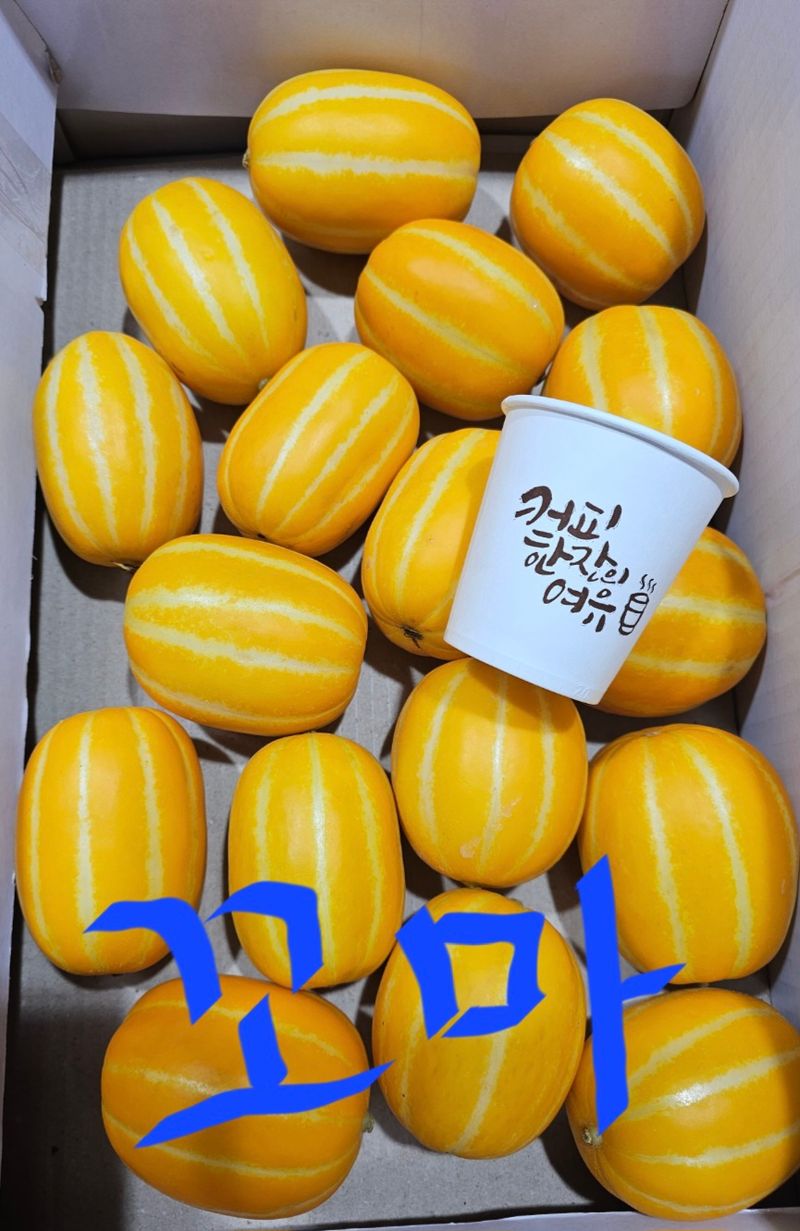 써니네님의 장터 판매 상품 [성주참외 19900원부터 있어요] 첨부 사진