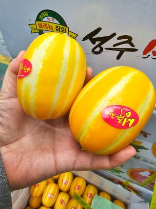 써니네님의 작성글 사진