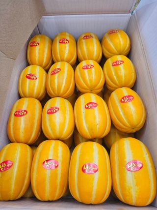 써니네님의 작성글 사진