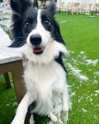 심규영님의 고추 · 일상 작성글 사진