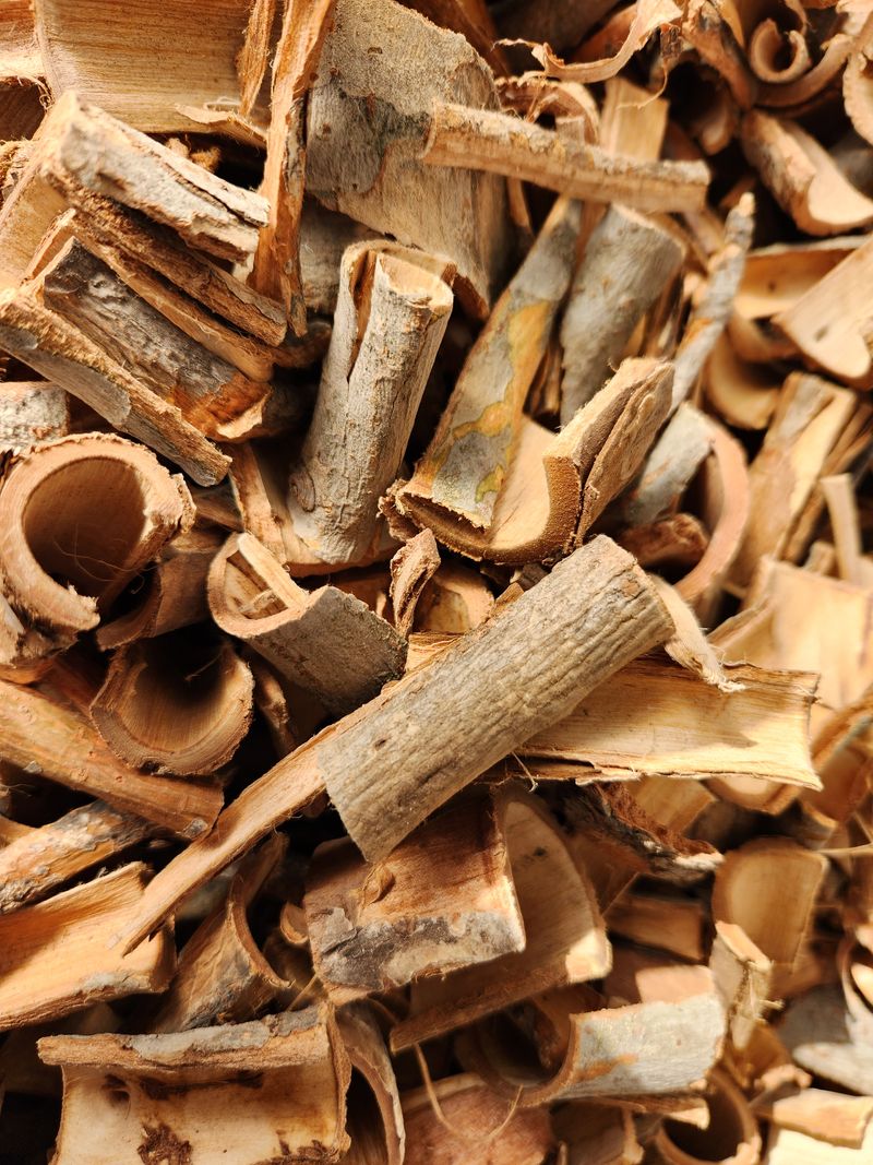 김승태님의 장터 판매 상품 [느릅나무.유백피  1근(400g) 1만원 팝니다.] 첨부 사진